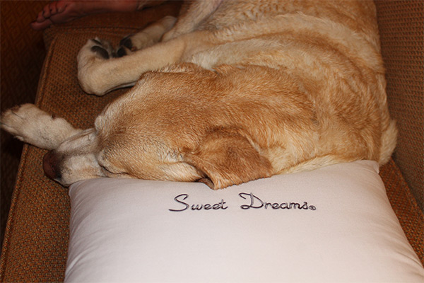 Sweet Dreams Kayla!