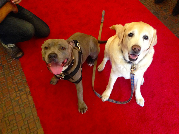 Kayla & Lola Walk the red carpet