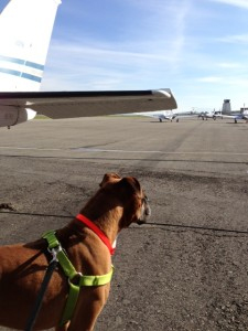Lemmy ready to board the plane