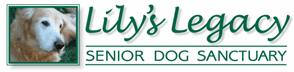 Lily's Legacy Logo