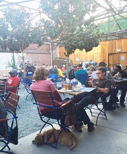 Drake's dog-friendly beer garden