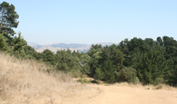 East Ridge Trail