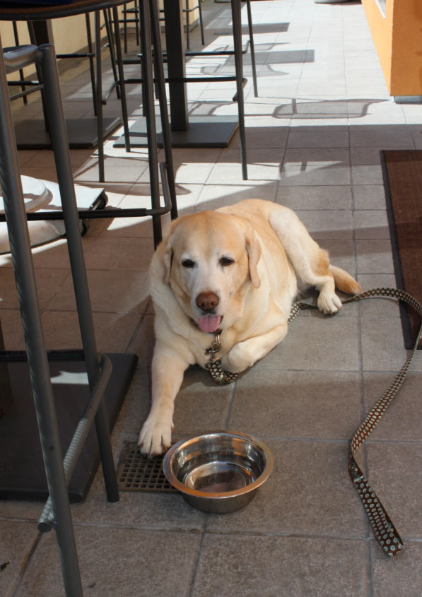 Kayla hanging out at Zimzala restaurant