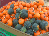 Stack of Pumpkins