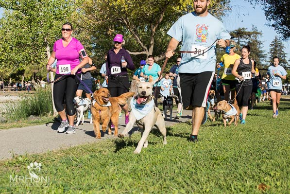 Walk N Wag event