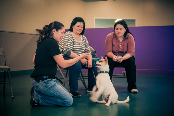 Trish King Dog Behavior Academy