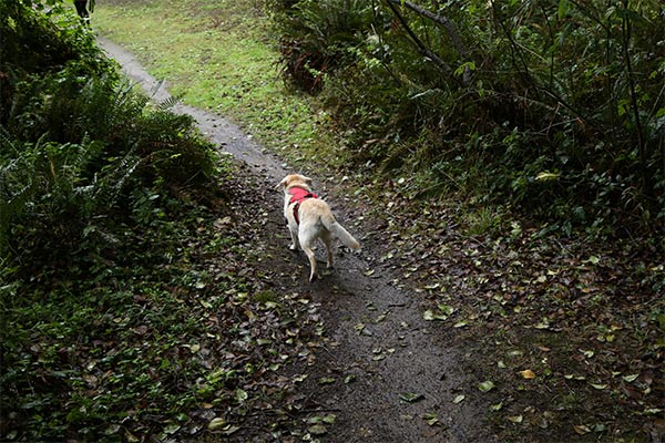 Kayla on the trail