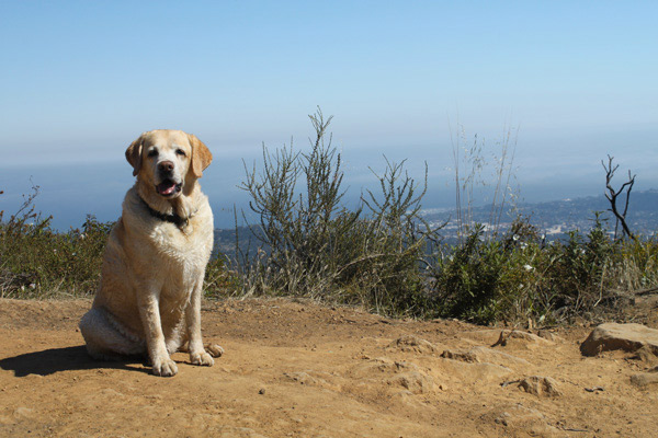 Kayla at the top of Seven Falls, Santa Barbara