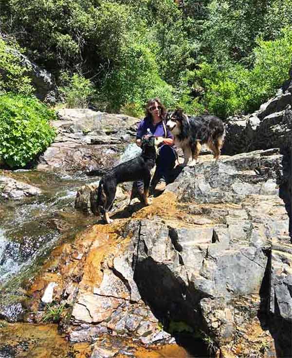 Arnold Rim Trail. Photo Credit: Lisa Boulton