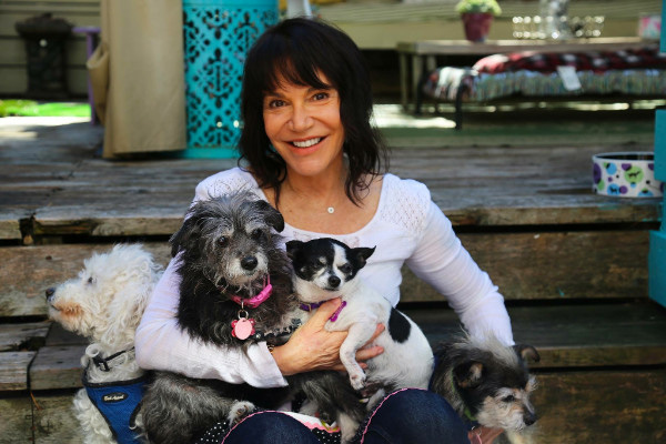 Sherri Franklin, CNN Hero. Photo Courtesy: Muttville Senior Dog Rescue