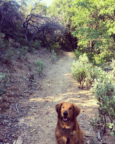 Flanagan Trail. Photo Credit: @leitzk