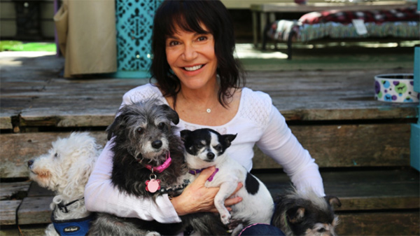 Vote Muttville Founder CNN Hero of the Year!