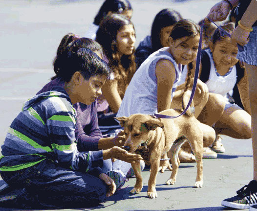 Kids and dogs teach each other - Santa Cruz SPCA