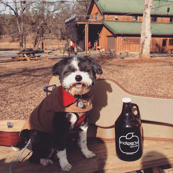 Murphy at Indigeny Reserve. Photo Credit: Nikki Coleman