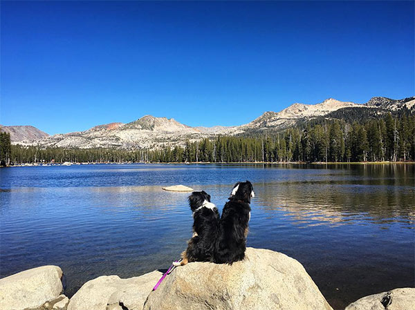 Wrights Lake <br/>Photo Credit: @lillytheaussie
