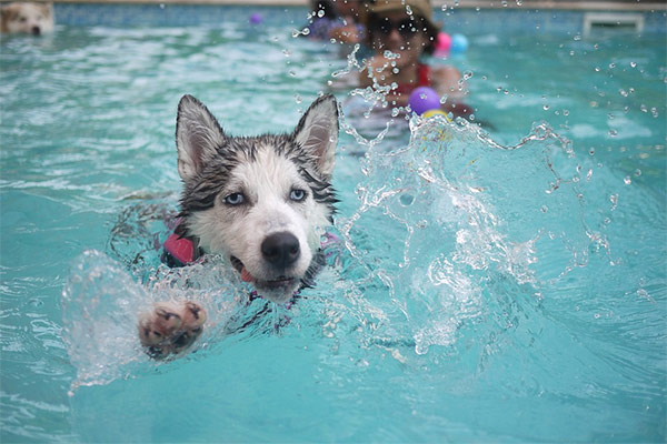 Swim class!