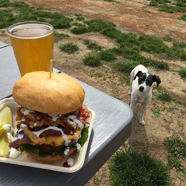 Lucy hoping for a bite at Jack Russell Brewery. <br/> Photo Credit: @tbutcherskitchen