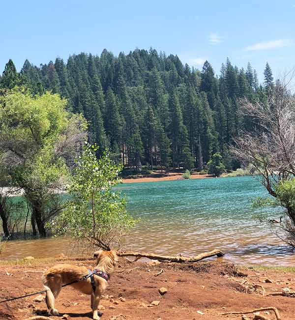 Maci at Sly Park Recreation Area - Photo Credit: @maci_explores2