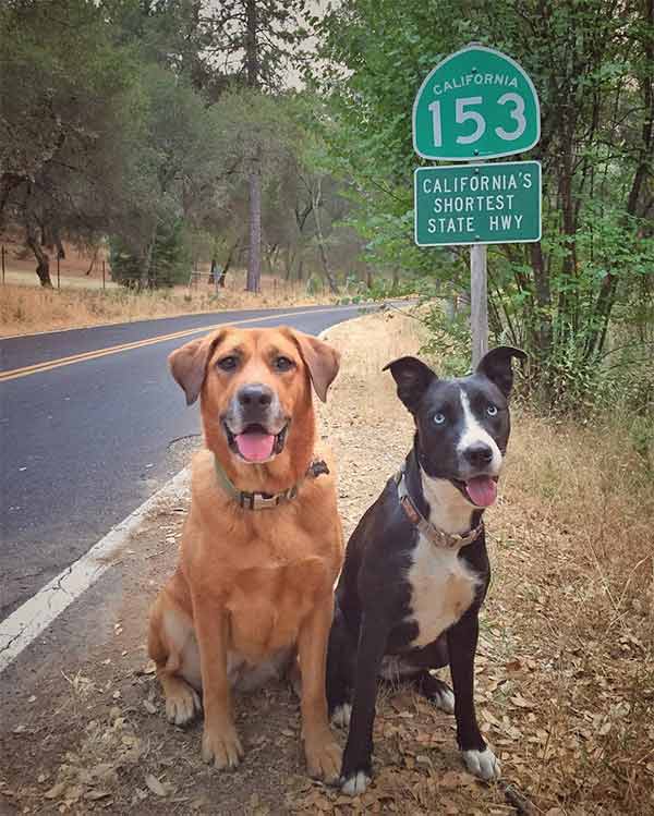 Marshall Gold Discovery State Historic Park <br/> Photo Credit: @leave_only_pawprints