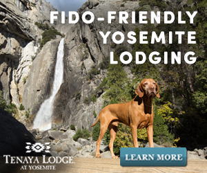 Yosemite is Open—Tenaya Welcomes You Back!