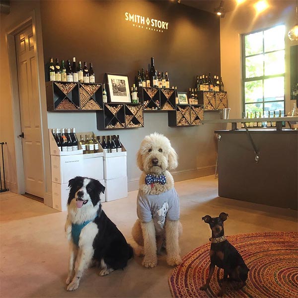 Lord Sandwich and friends at Smith Story Wine Cellars <br/> Photo Credit: sandwichthedoodle