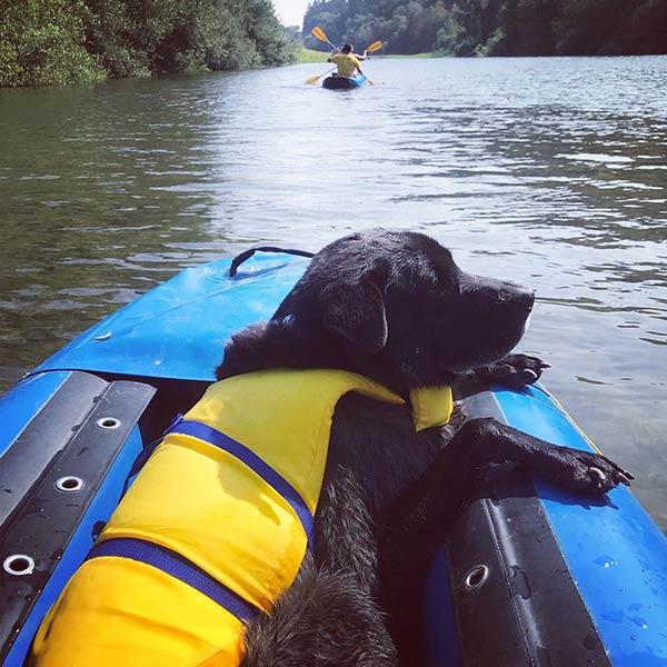 Float Along - Photo Credit: @whitneymock