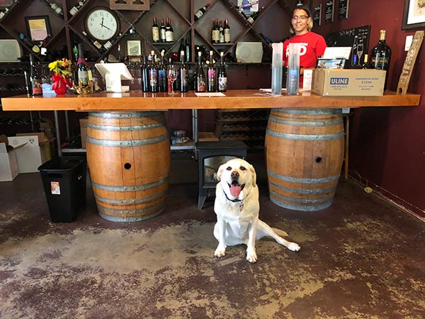 Maya, Director of Barketing, at Idle Hour Winery in Bass Lake