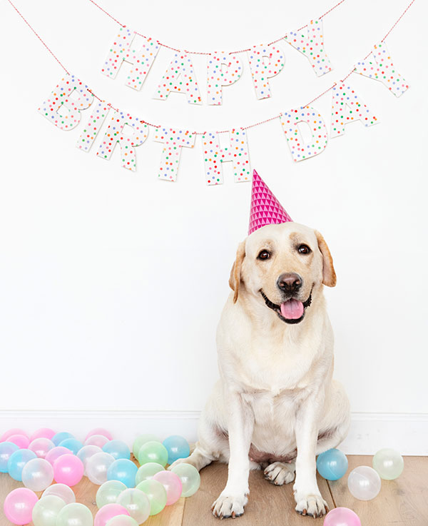 Happy Birthday! - Photo Credit: rawpixel.com