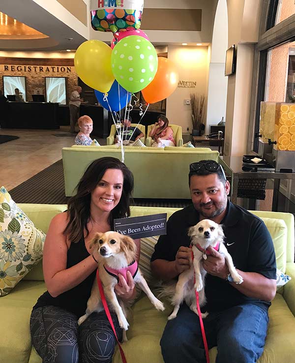 Lucy and Roxy prepare to go home with their new family / Photo: Westin Mission Hills Golf Resort and Spa