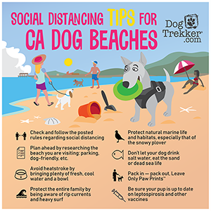 Coastal California Beach Status Update: Week of June 1