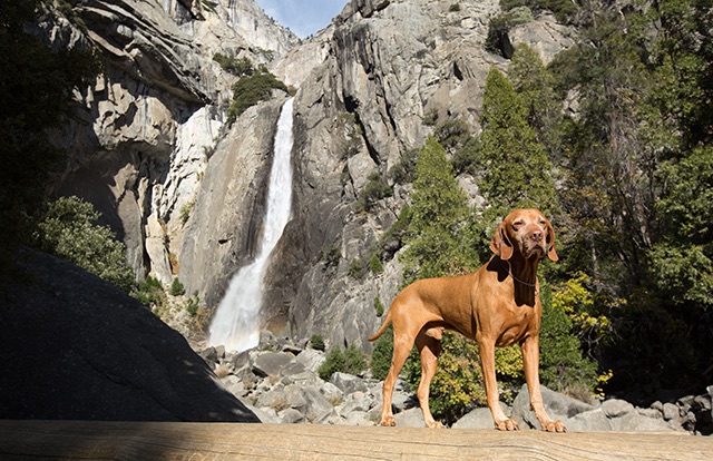 Image courtesy of Tenaya Lodge at Yosemite