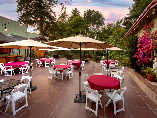 The dog-friendly patio at Bargetto Winery. Photo by Visit Santa Cruz.