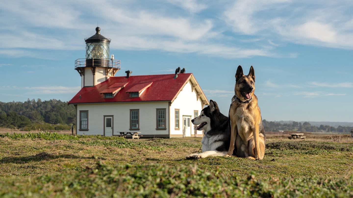Standing guard at Point Cabrillo Light Station. Photo by Visit Mendocino County.