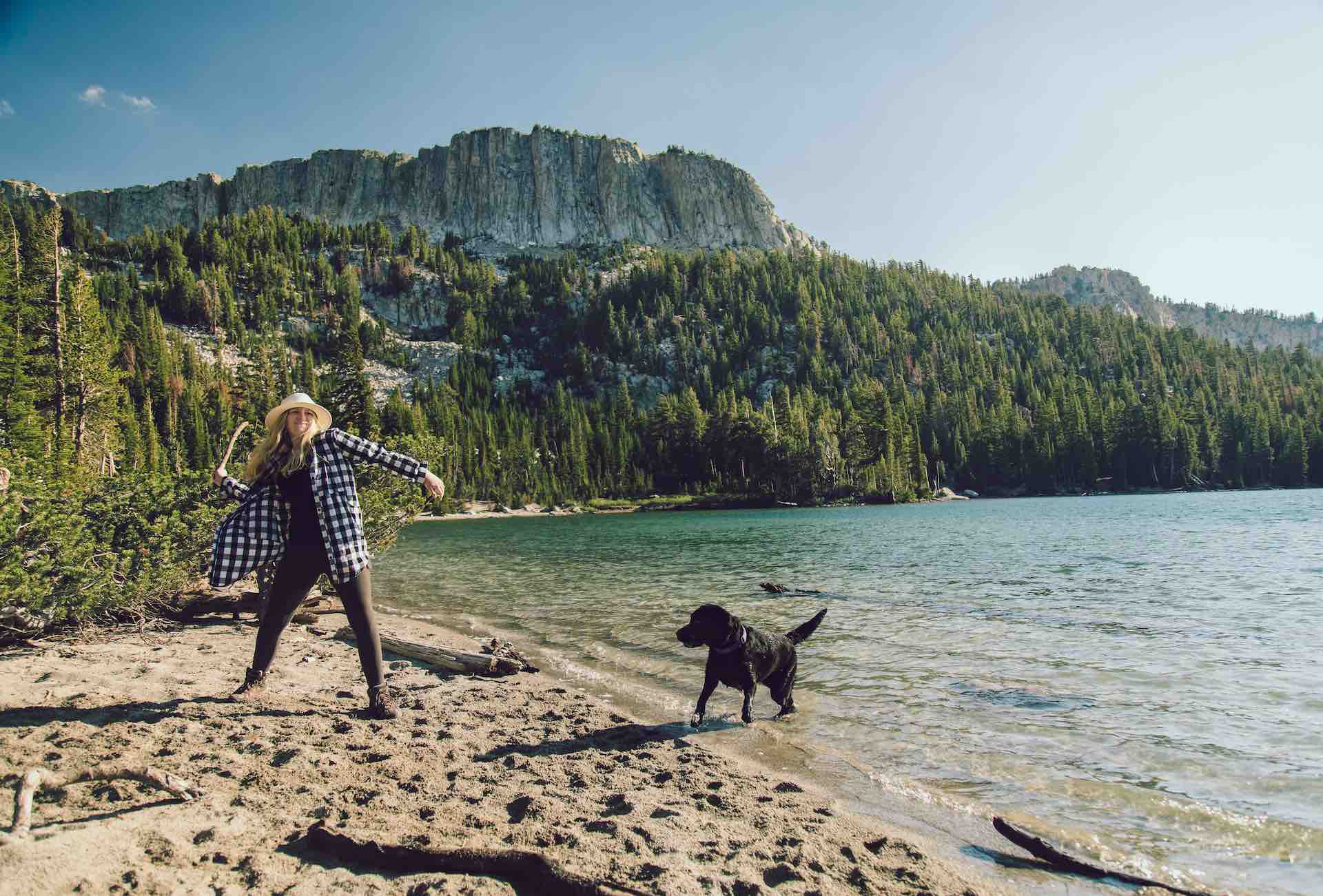 Dogs love to play in the Eastern Sierra. Photo by Visit Mammoth.