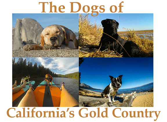 Digging the Gold Country of California