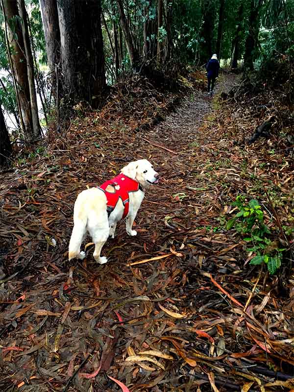 Kayla flashes her smile on the trail