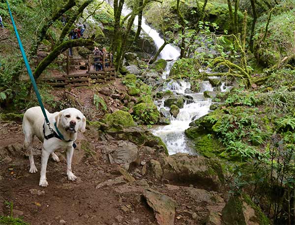 Maya at Cataract Falls