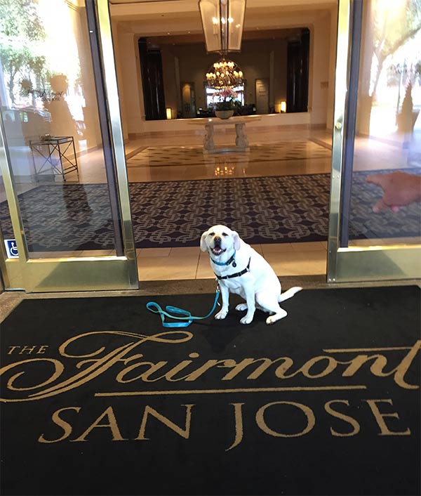 Maya at The Fairmont San Jose