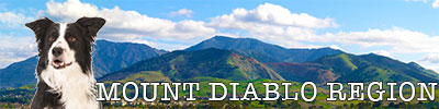 Mount Diablo Region