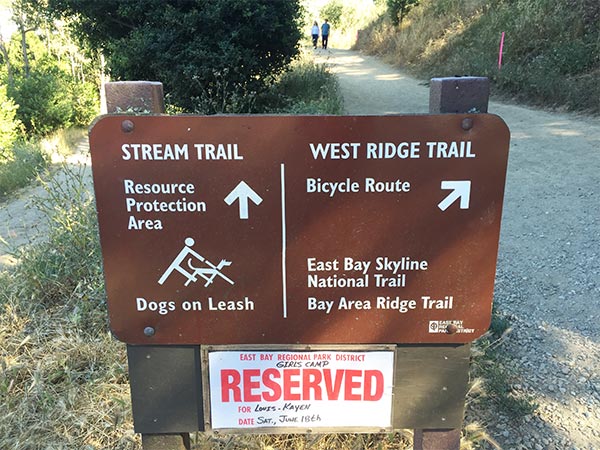 Stream Trail